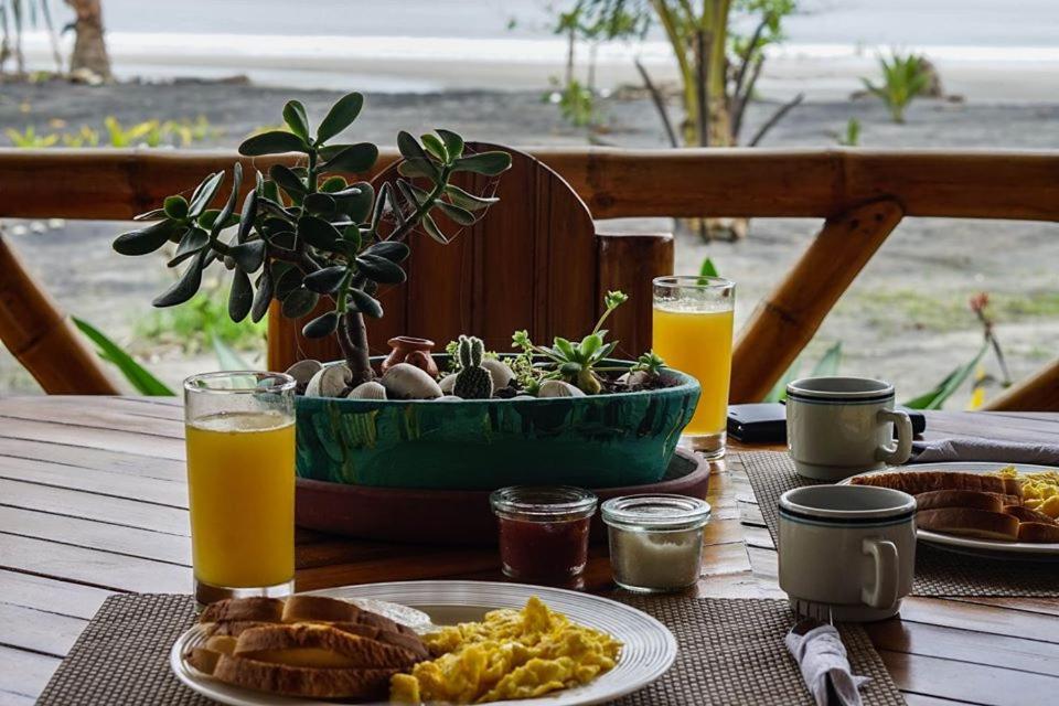 Seaside Garden Ecolodge Mompiche Zewnętrze zdjęcie